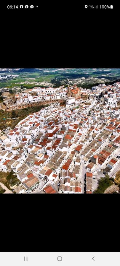 פיסטיצ'י Agriturismo Terranova מראה חיצוני תמונה