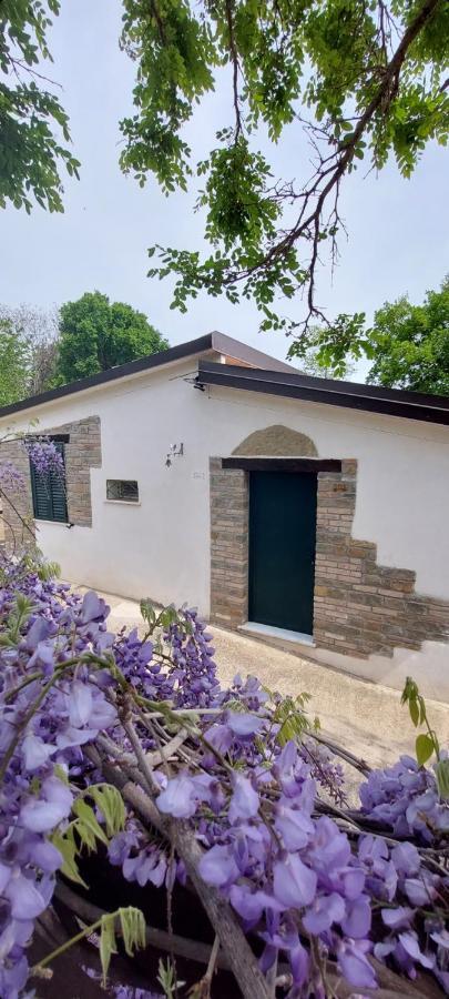 פיסטיצ'י Agriturismo Terranova מראה חיצוני תמונה
