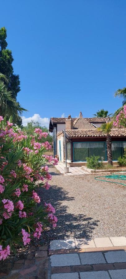 פיסטיצ'י Agriturismo Terranova מראה חיצוני תמונה