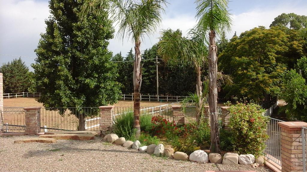 פיסטיצ'י Agriturismo Terranova מראה חיצוני תמונה